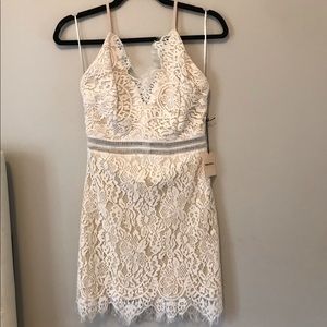 remi lace mini dress